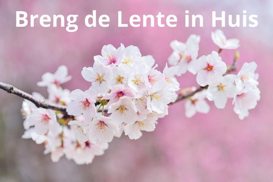 Breng de Lente in Huis