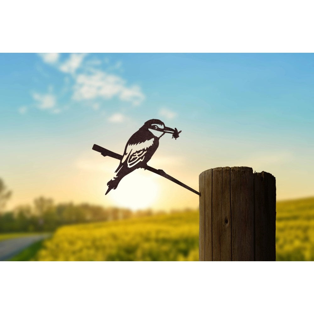 Europäischer Bienenfresser