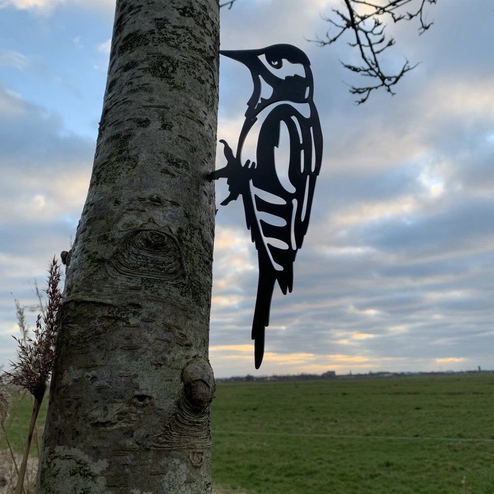 Actie Pakket 1 - Koolmezen, Grote Bonte Specht en Roodborstje