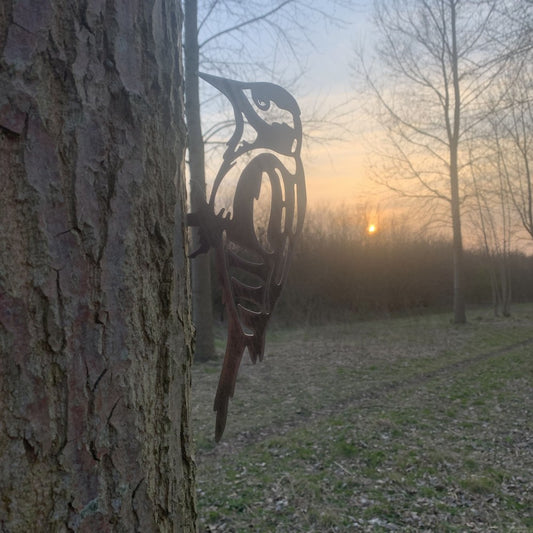 Grote Bonte Specht