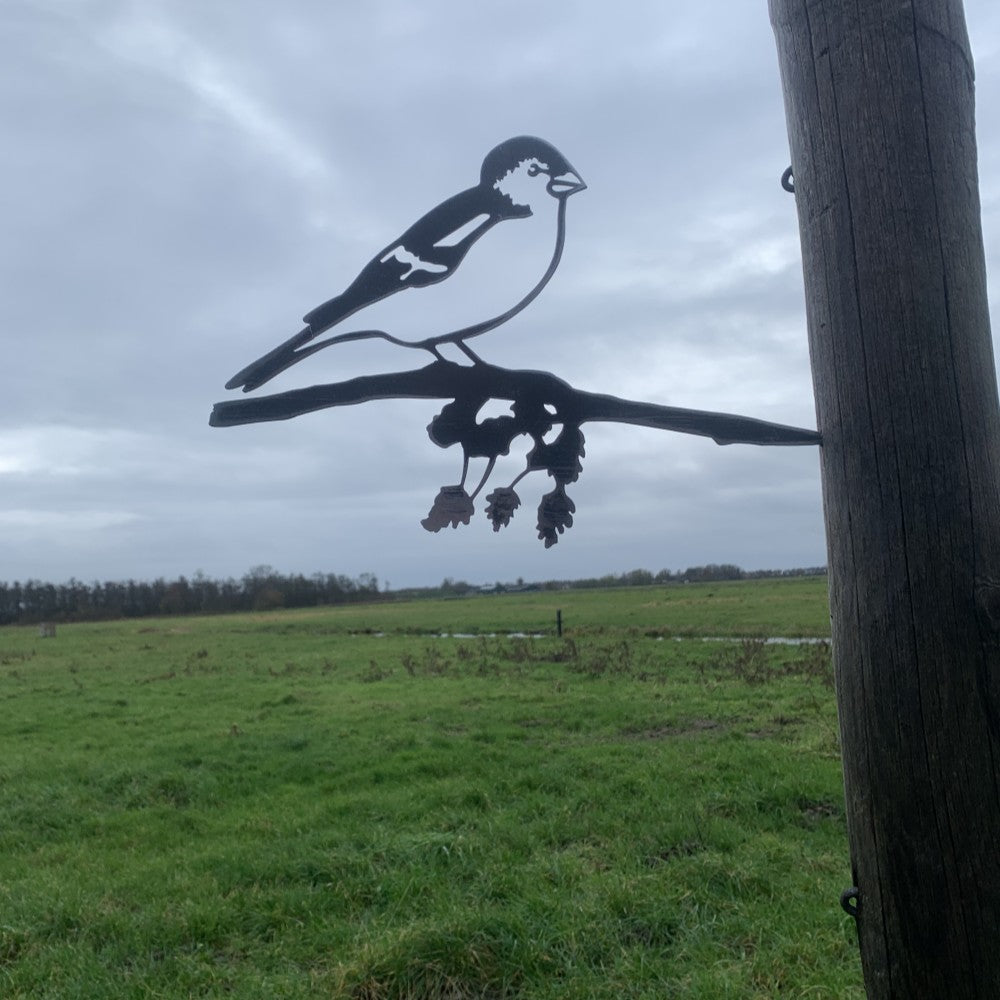 Vink