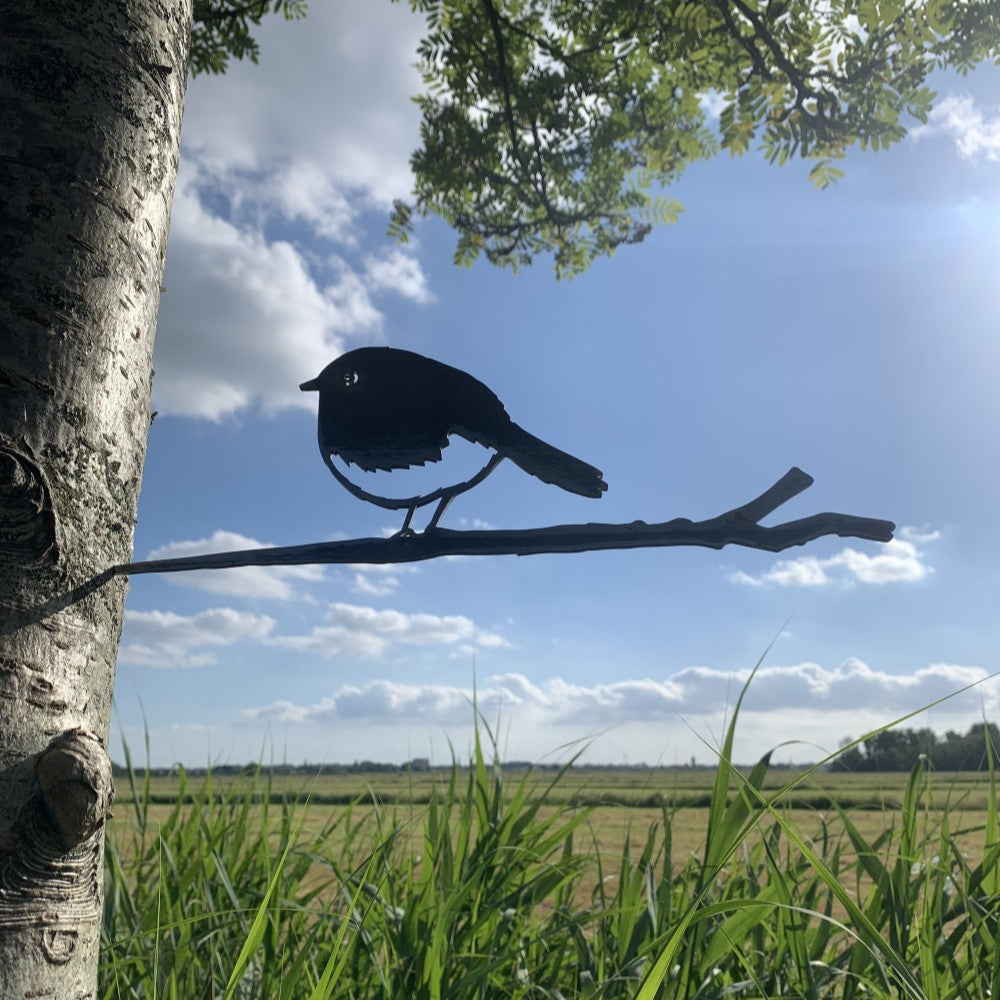 Actie Pakket 1 - Koolmezen, Grote Bonte Specht en Roodborstje