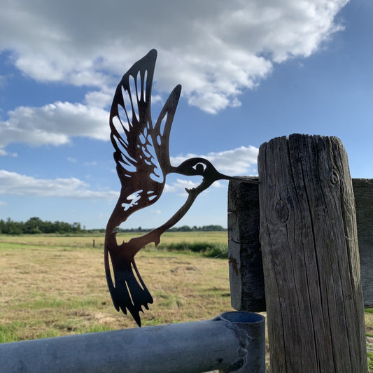 Kolibri