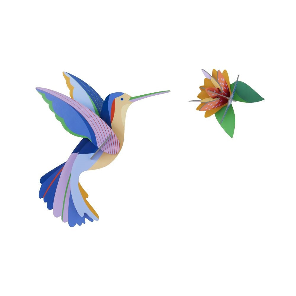 Paradiesvogel - Verschiedene Varianten