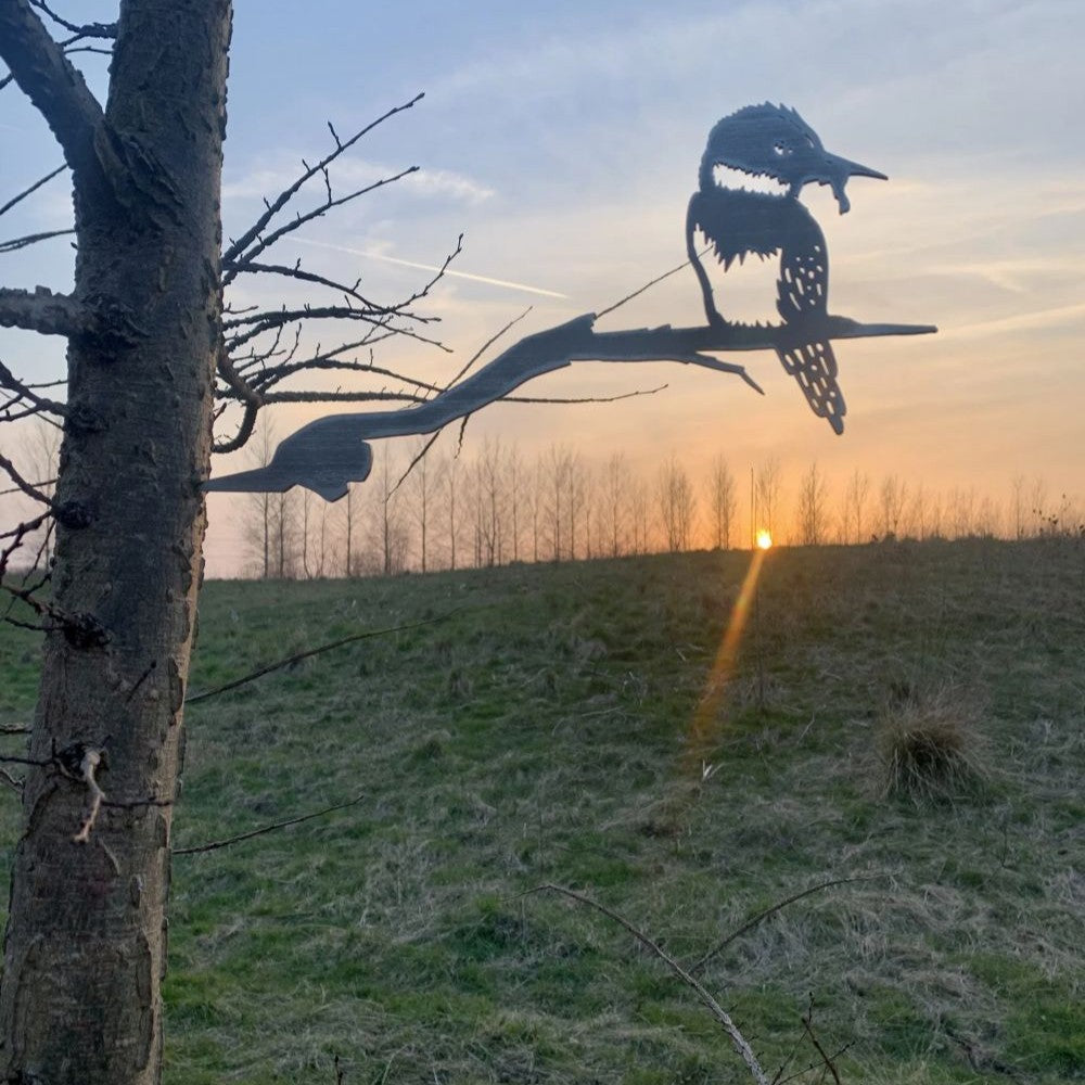 Ijsvogel