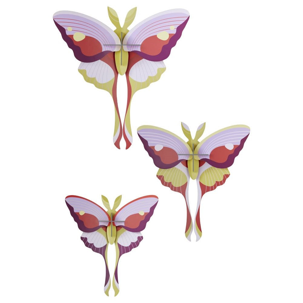 Vlinders, Set/3 - Diverse Varianten