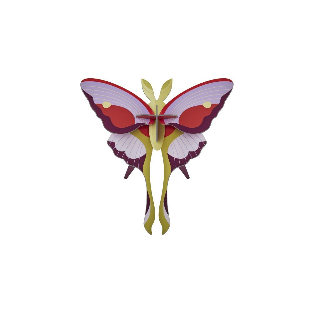 Schmetterling klein - Verschiedene Varianten