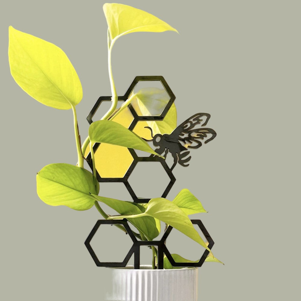 Honigbiene – Pflanzenspalier