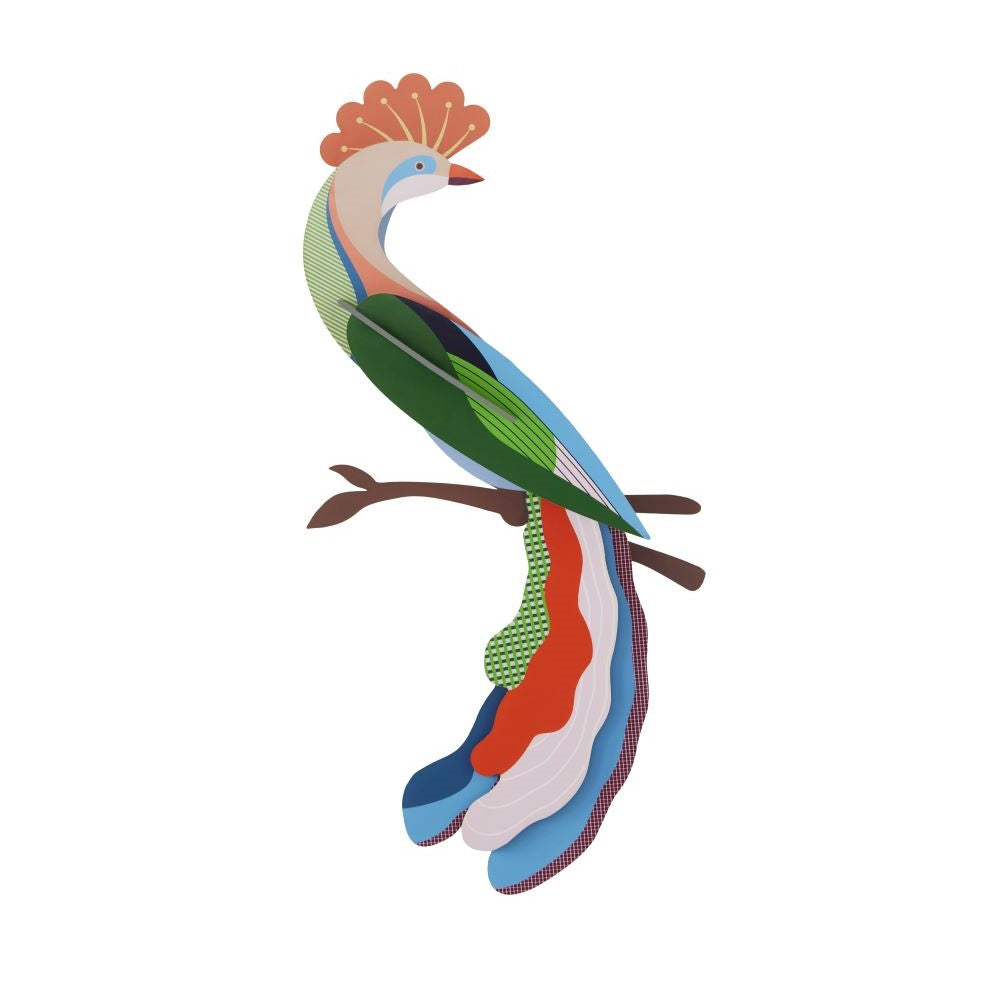 Paradiesvogel - Verschiedene Varianten
