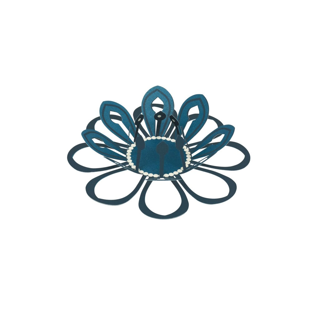 Zauberblume - Verschiedene Varianten