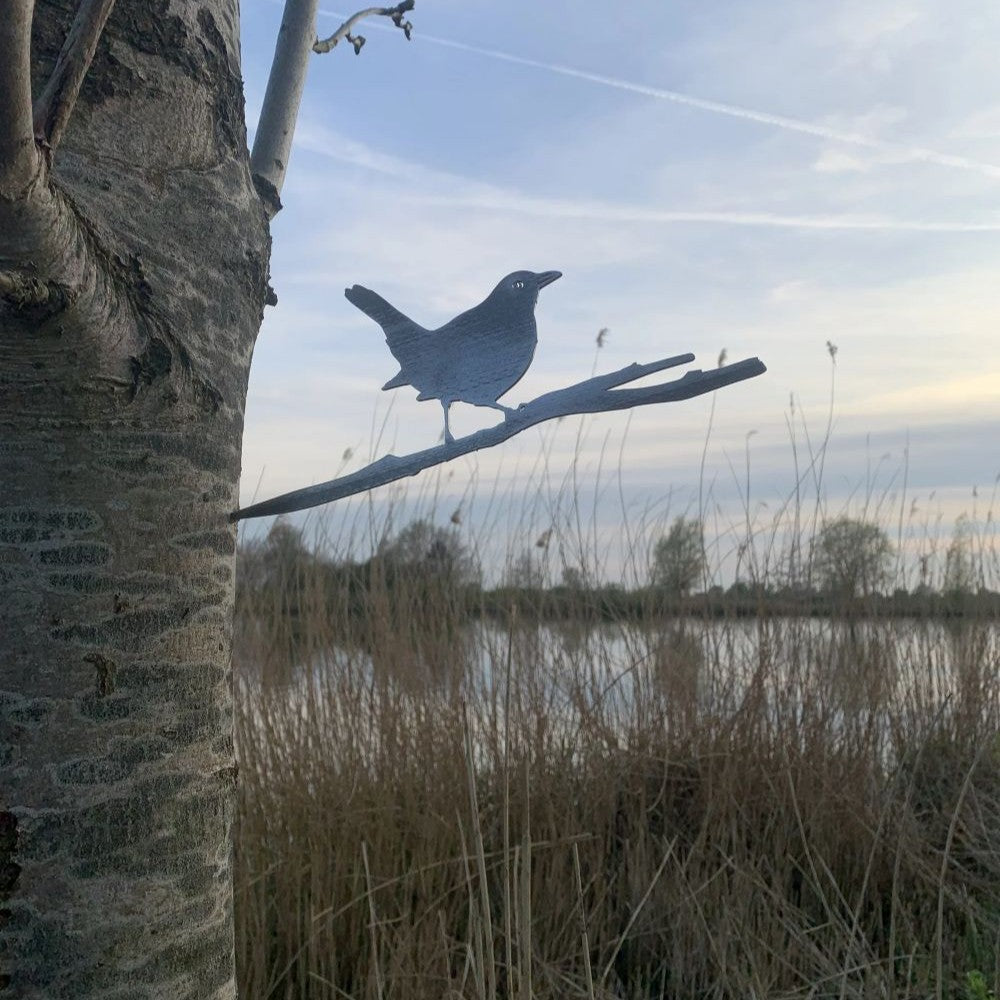 Actie Pakket 2 - Tjiftjaf, Merel en IJsvogel