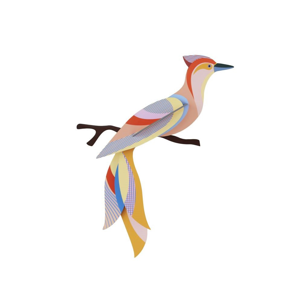 Paradiesvogel - Verschiedene Varianten