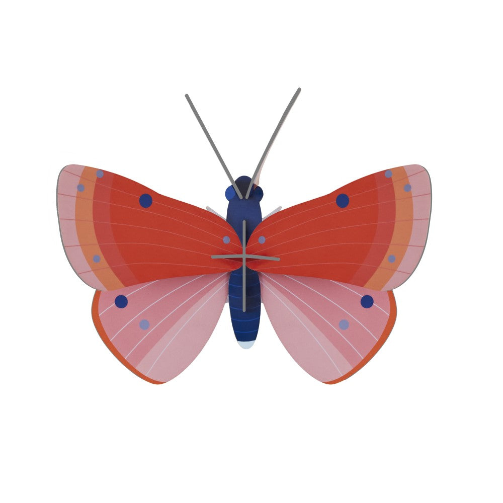 Schmetterling klein - Verschiedene Varianten