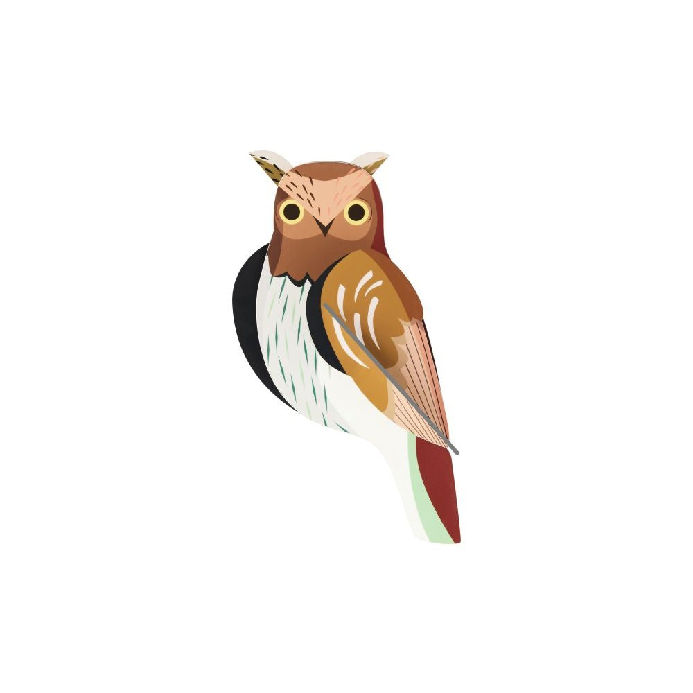 Vogels -Diverse Varianten