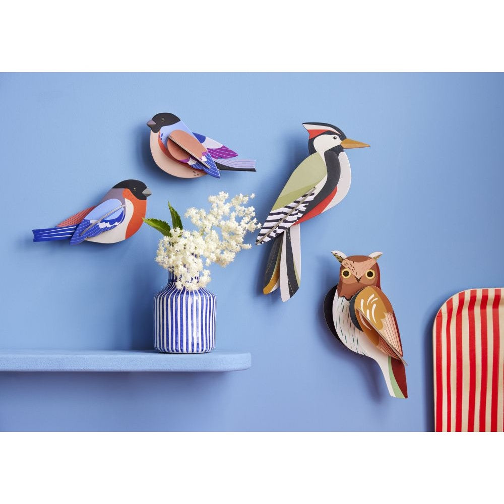 Vogels -Diverse Varianten