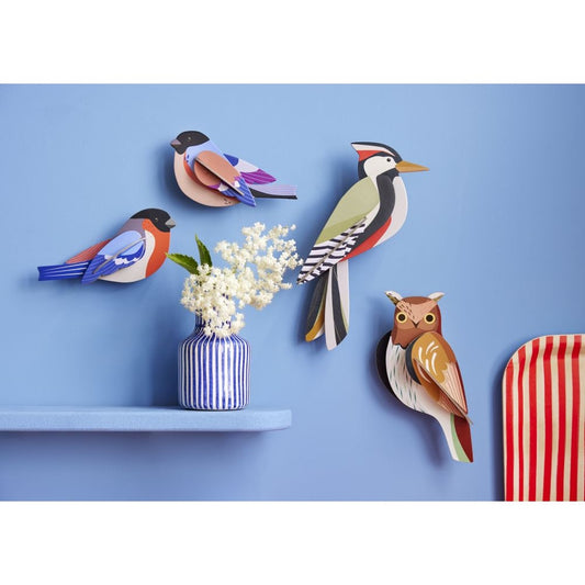 Vogels -Diverse Varianten