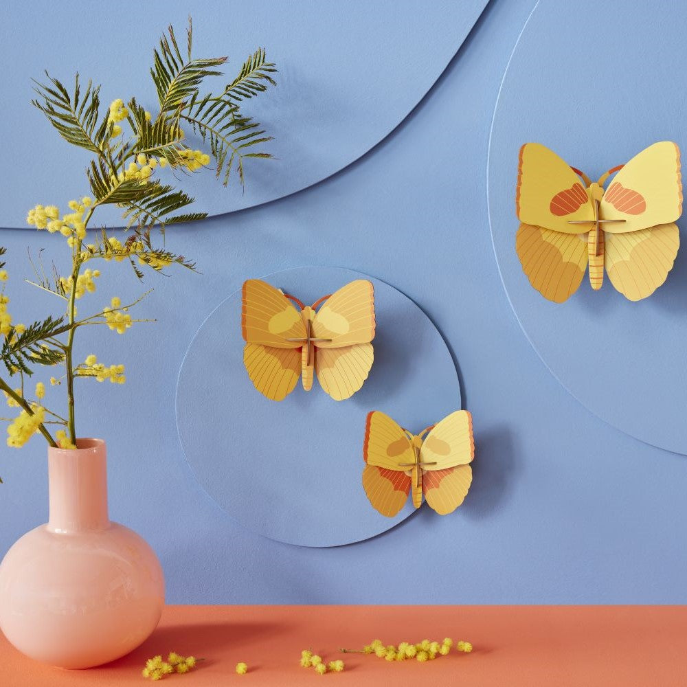 Vlinders, Set/3 - Diverse Varianten