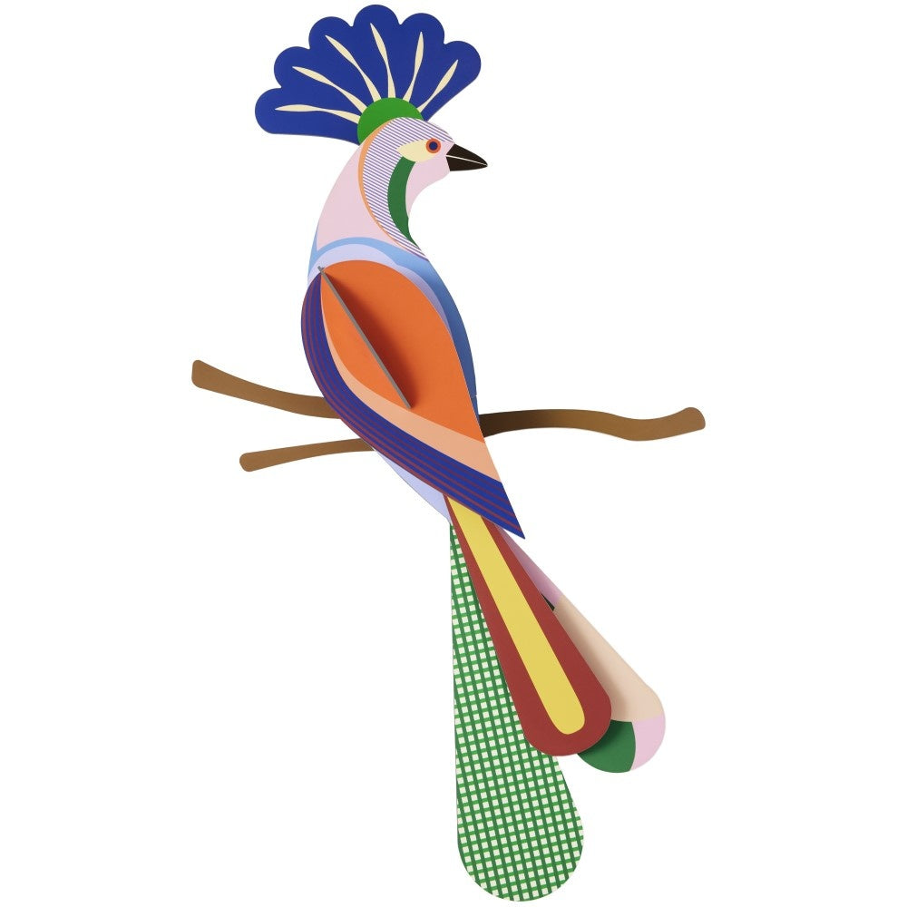 Paradiesvogel - Verschiedene Varianten