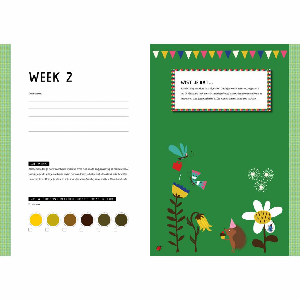 Baby Scrapbook - The First Year of