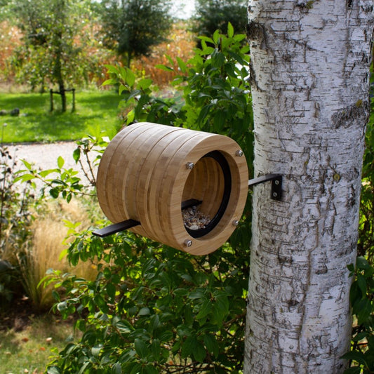 Birdhouse Take a Bite - Wall model