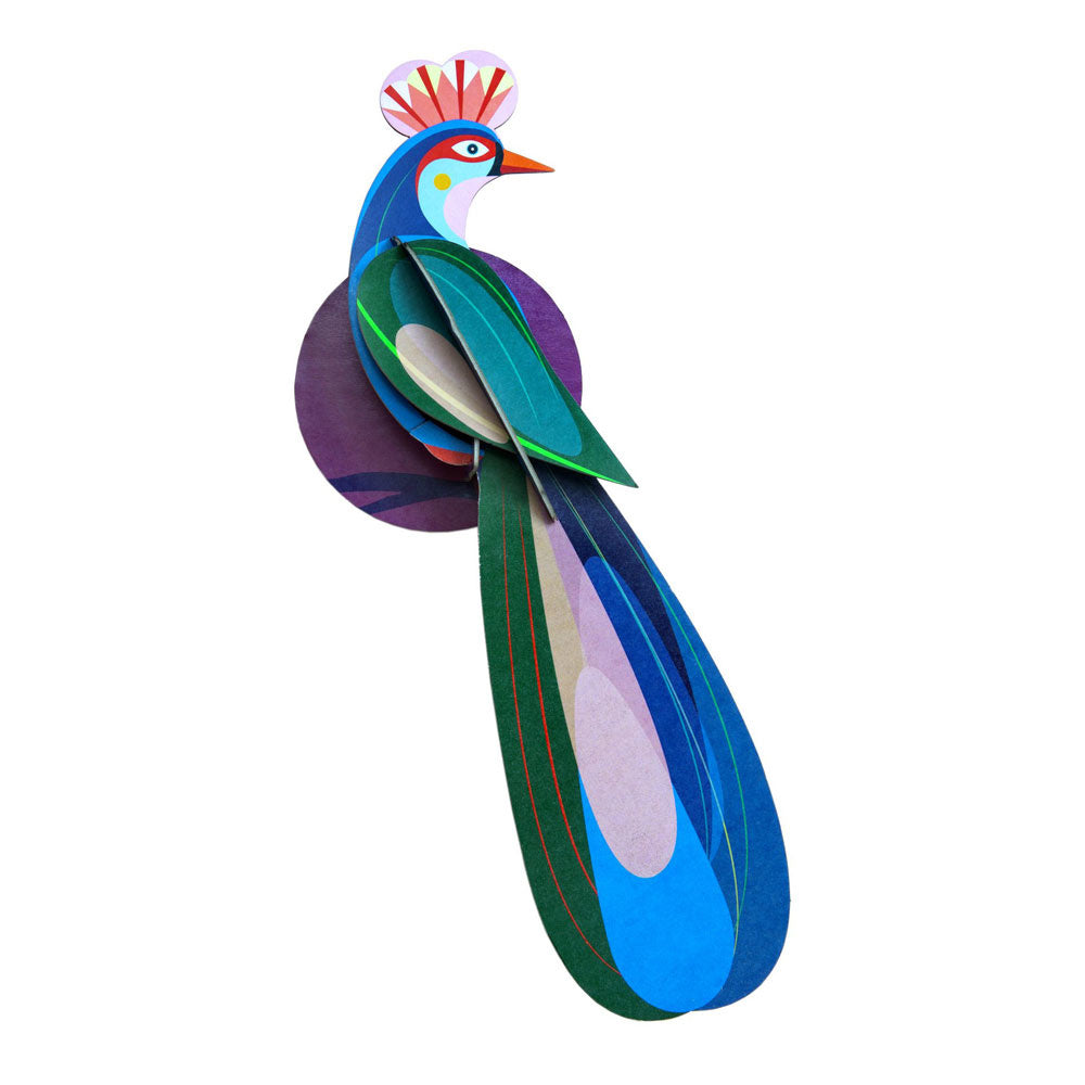 Paradiesvogel - Verschiedene Varianten