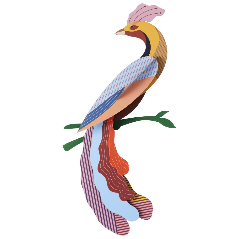 Paradiesvogel - Verschiedene Varianten