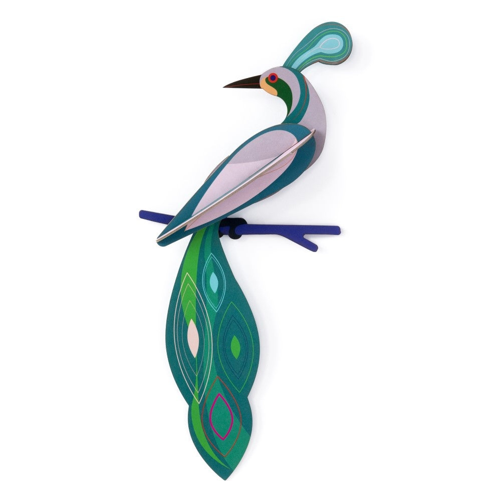 Paradiesvogel - Verschiedene Varianten