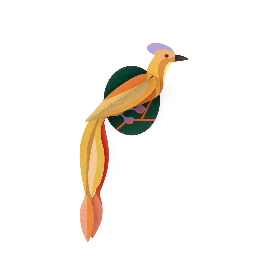 Paradiesvogel - Verschiedene Varianten
