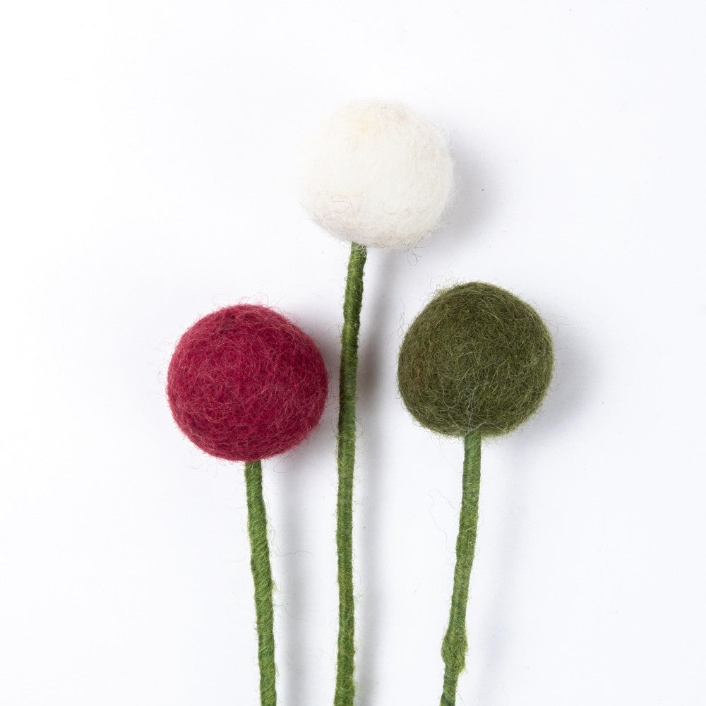 Craspedia's 3 pcs. - Various Colors