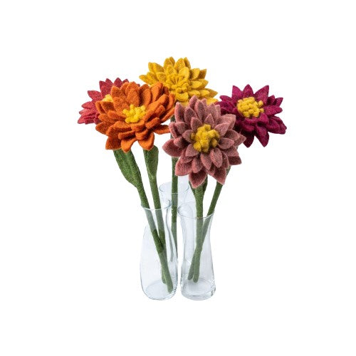 Dahlia Wolvilt - Diverse Kleuren