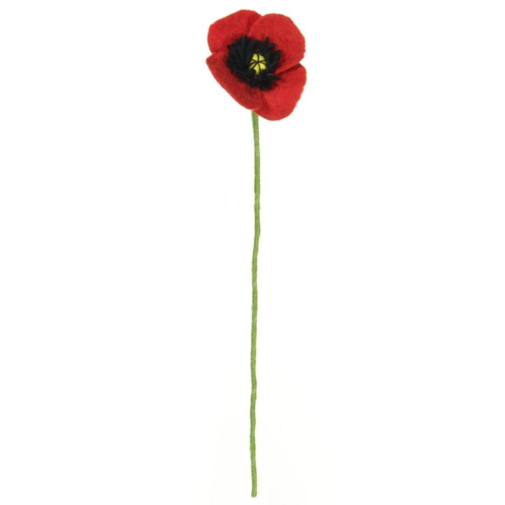Mohn