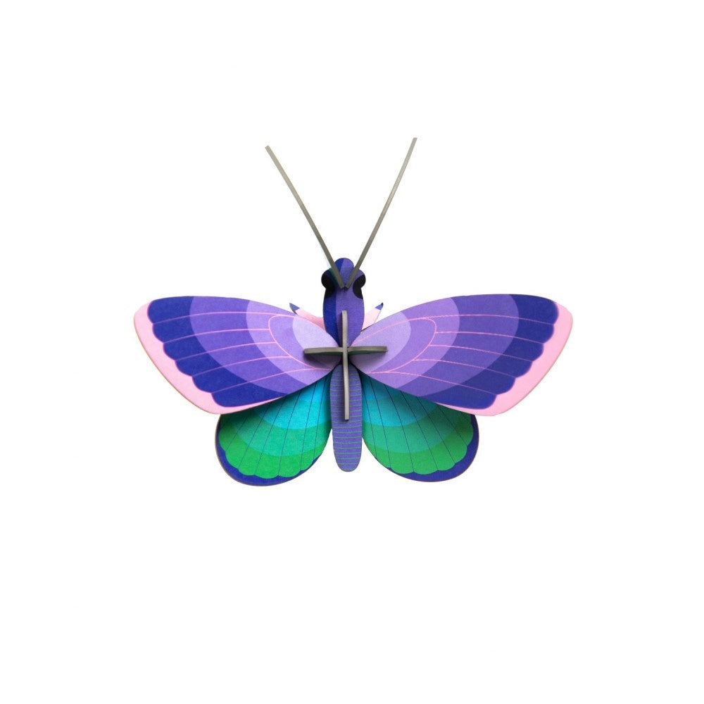 Schmetterling klein - Verschiedene Varianten