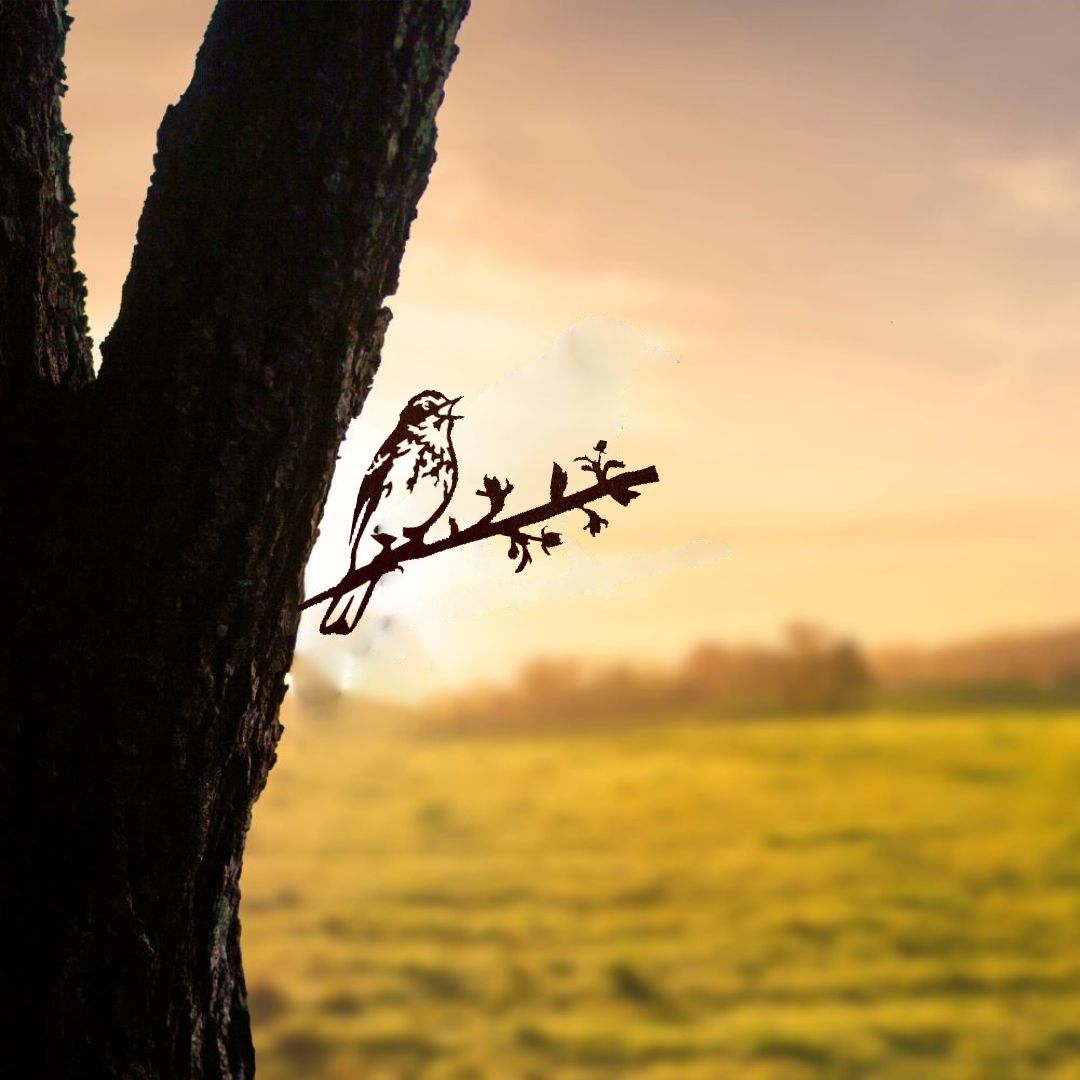 Vogelsilhouette Baumpieper
