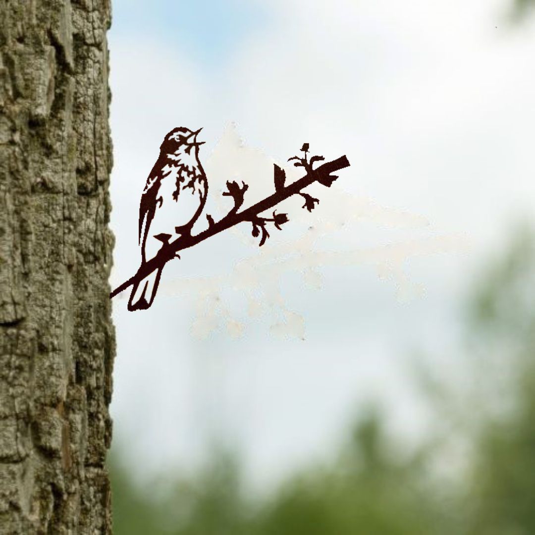 Vogelsilhouette Baumpieper
