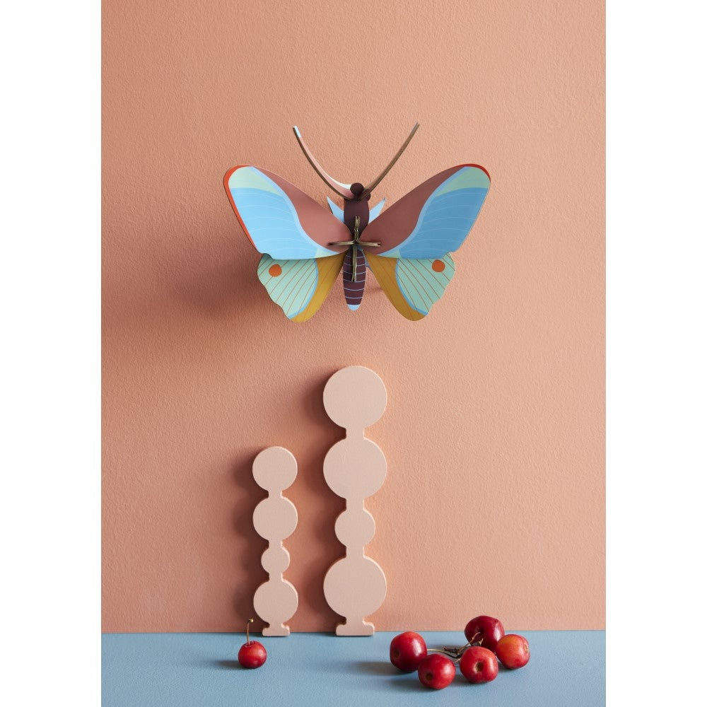 Schmetterling klein - Verschiedene Varianten