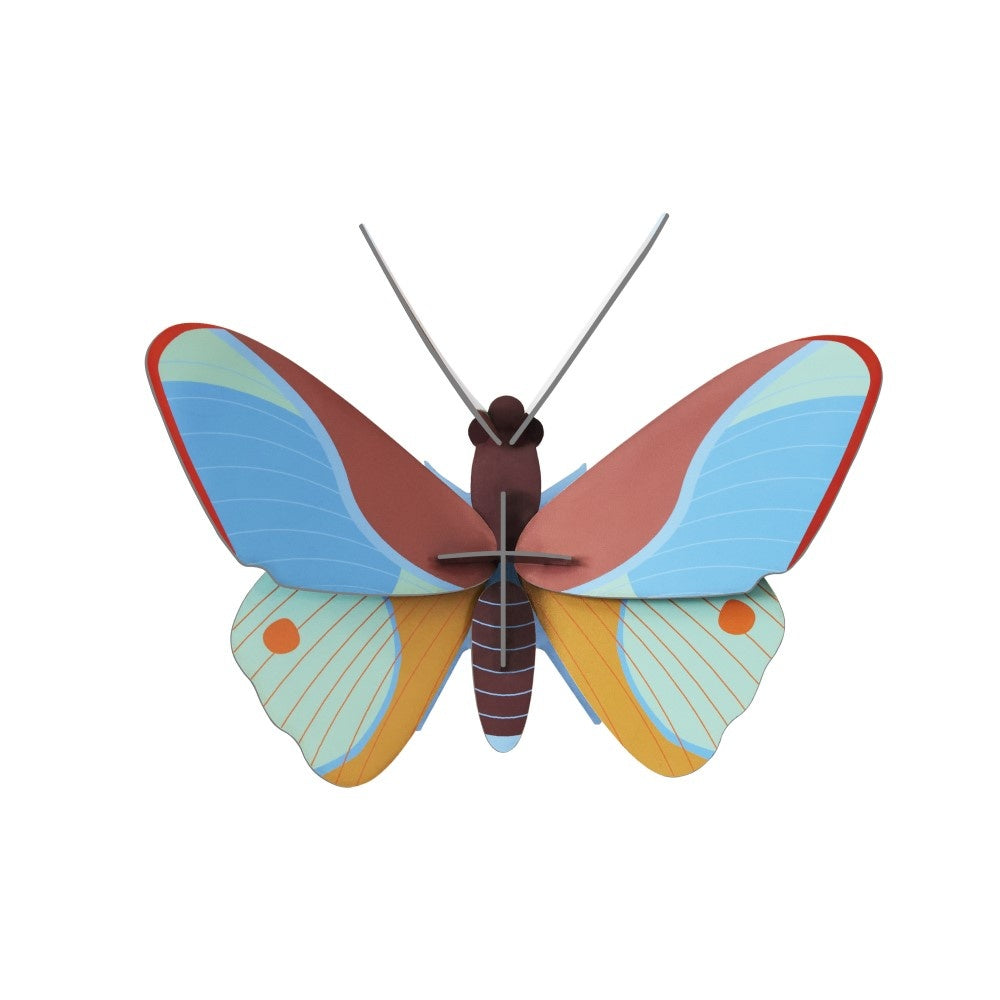 Schmetterling klein - Verschiedene Varianten