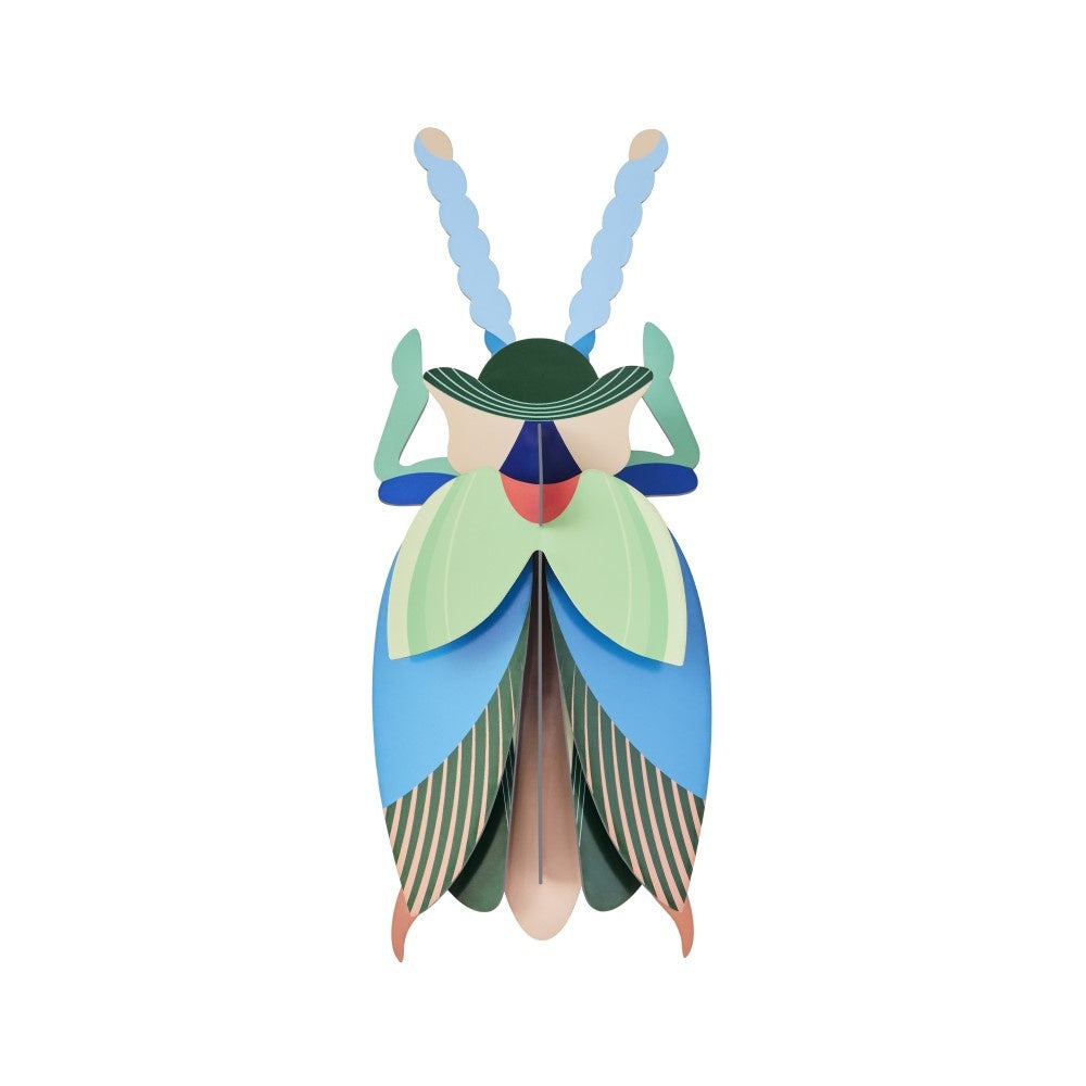 Beetle Medium - Verschiedene Varianten