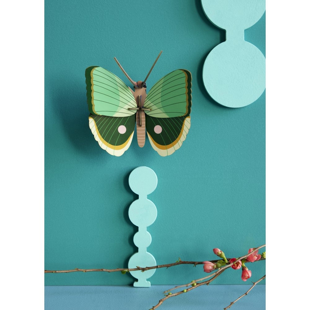 Schmetterling klein - Verschiedene Varianten