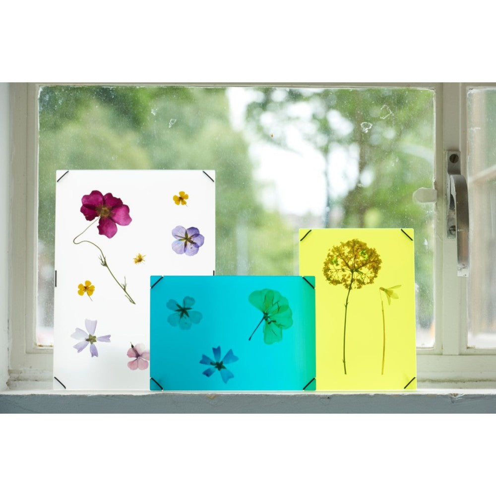 FlowerFrame lijst combineren voor gedroogde bladeren, minimalistisch design