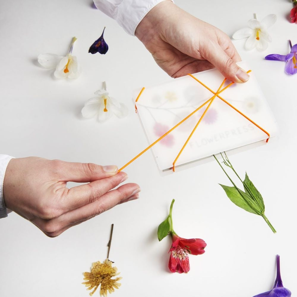 Pocket Flower Press - Ghost White