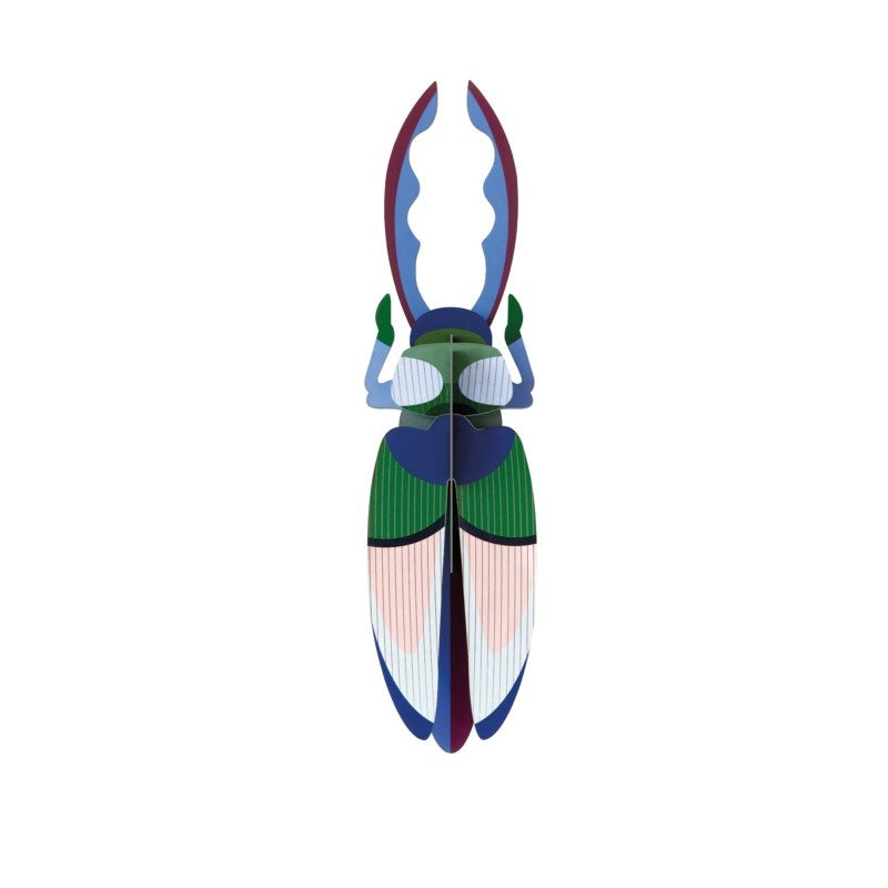 Beetle Medium - Verschiedene Varianten