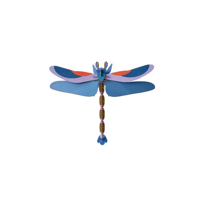 Grote Libelle - Diverse Varianten