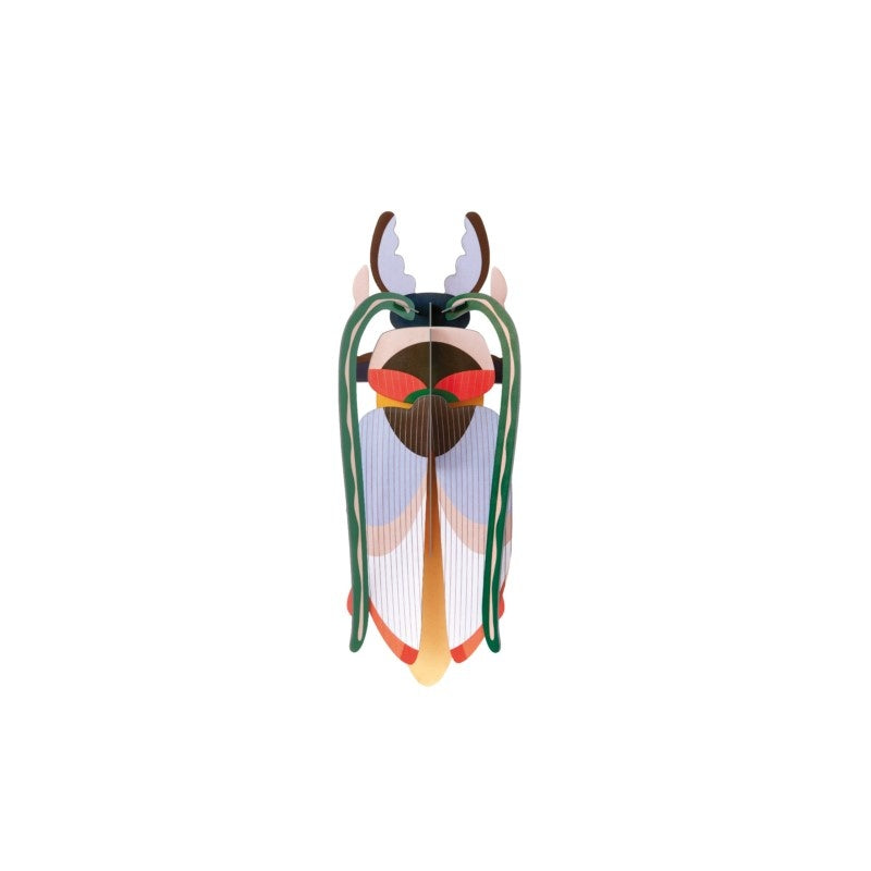 Beetle Medium - Verschiedene Varianten