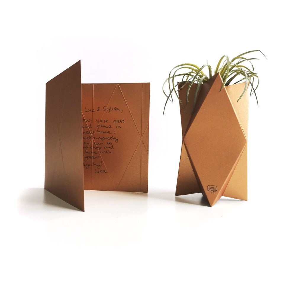 Card-Vase Impress - Various Colors