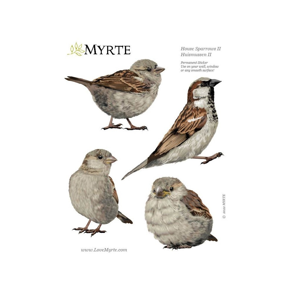 Muursticker Vogels - Diverse Varianten