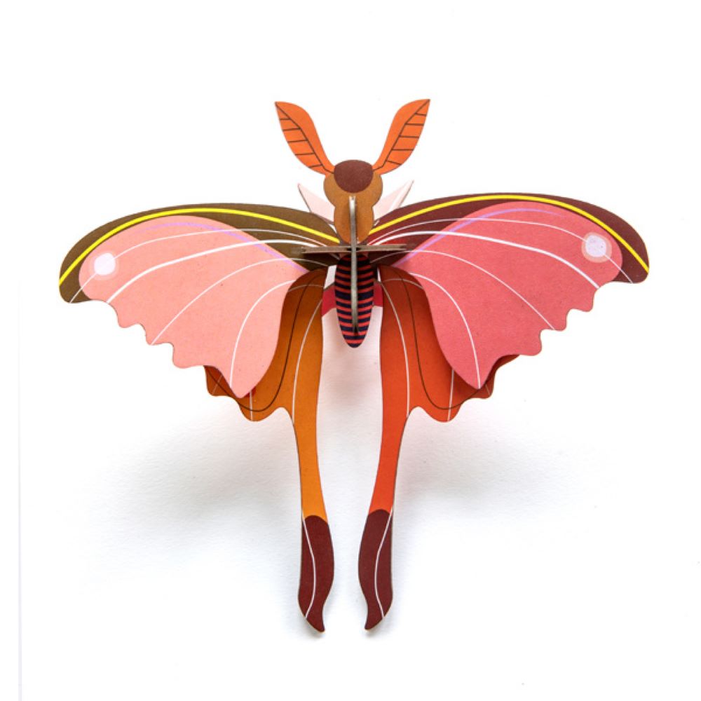 Schmetterling klein - Verschiedene Varianten