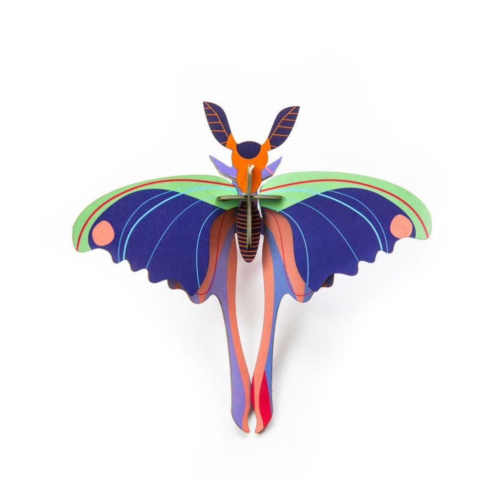 Schmetterling klein - Verschiedene Varianten