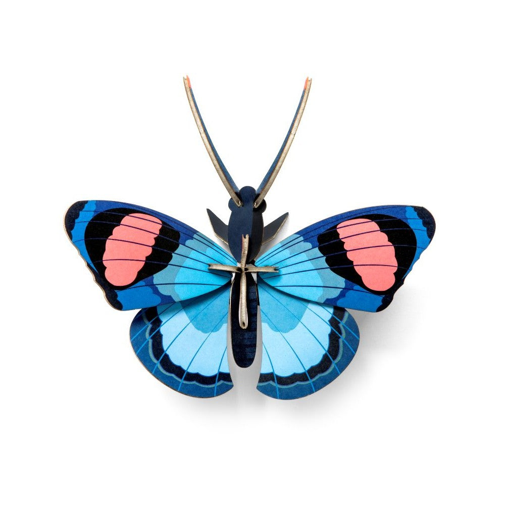 Schmetterling klein - Verschiedene Varianten