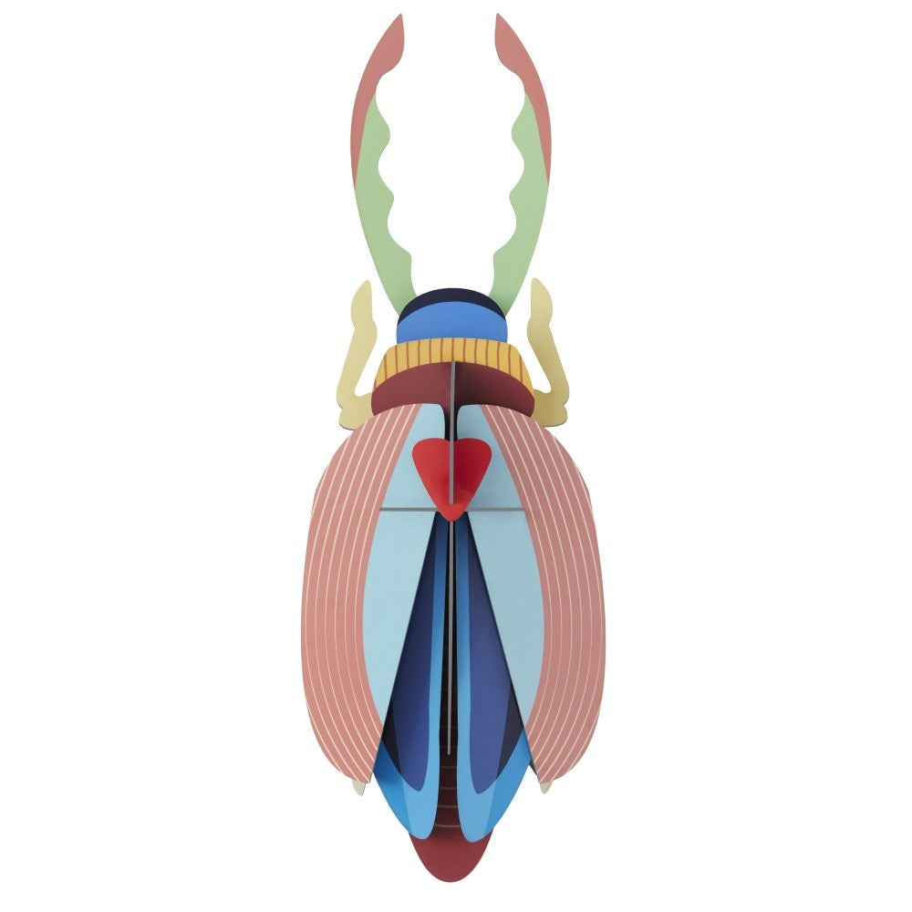 Beetle Medium - Verschiedene Varianten