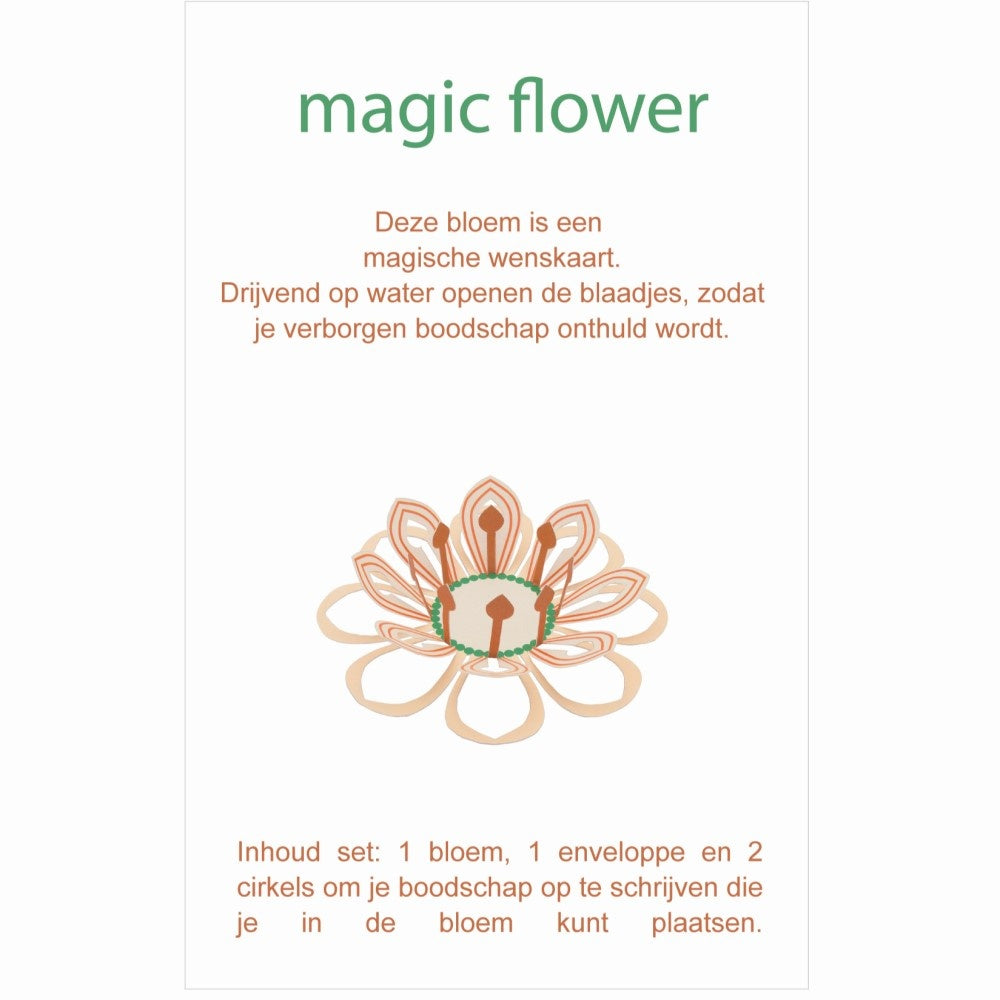 Zauberblume - Verschiedene Varianten